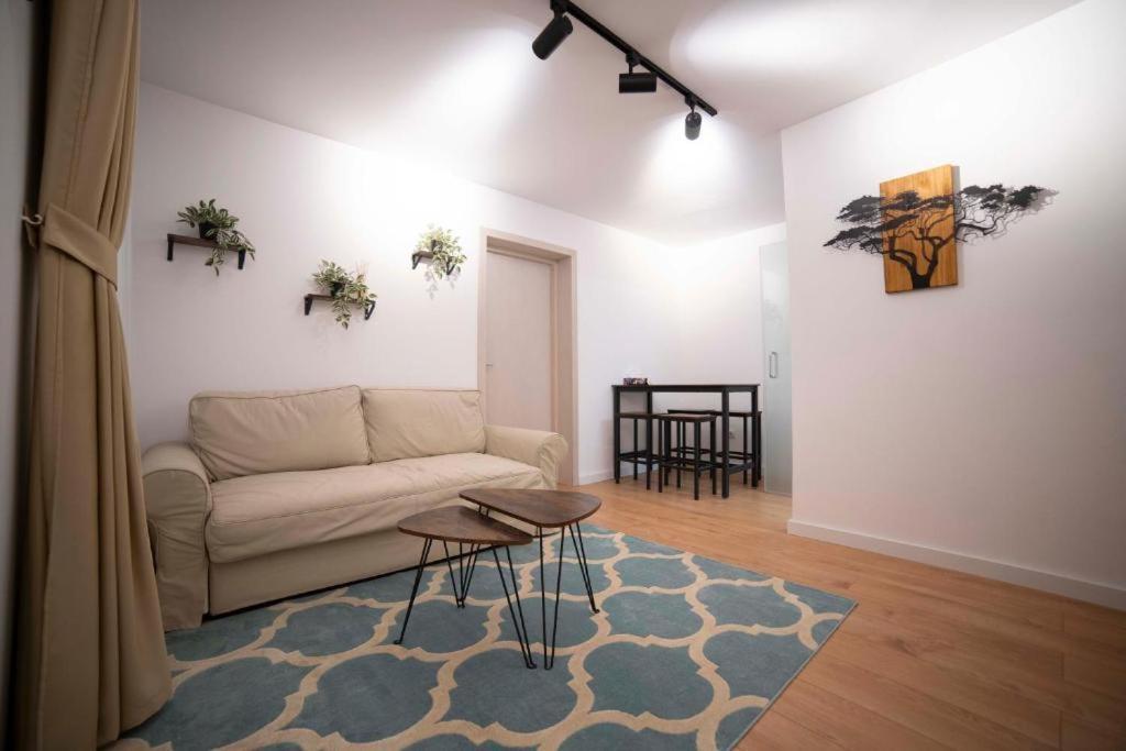 Coban Residence Apartments Braşov Eksteriør bilde