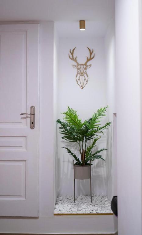 Coban Residence Apartments Braşov Eksteriør bilde