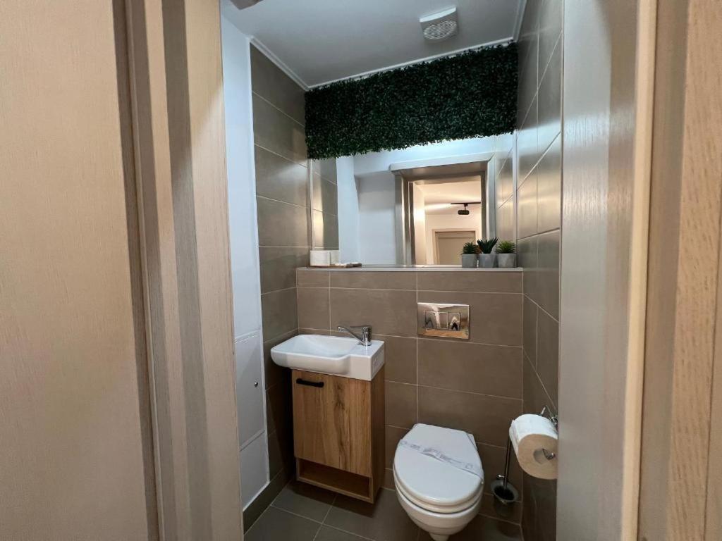 Coban Residence Apartments Braşov Eksteriør bilde